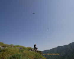 Wie lautlose Flieger gleiten die Geier über unsere Köpfe hinweg.