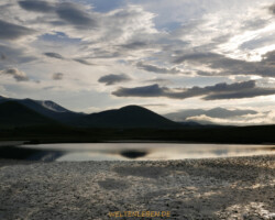 Abendlicht im Niemandsland.
