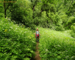 Einer der wunderschönen Wanderwege durch leuchtende Sommerfarben.