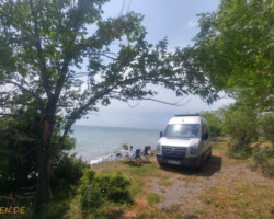 Oh, wie schön istˋs am Sewansee - mit Bäumen und Sträuchern auf 1900 Metern Höhe!