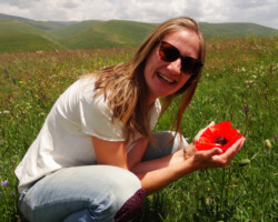 Kleine und große Blüten strahlen uns an :-)