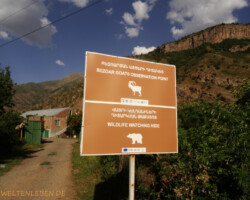 Ui, wir sind gespannt - ganz in der Nähe gibt es wilde und besondere seltene Tiere zu beobachten!